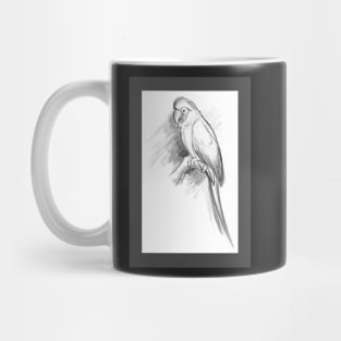 Ruby the Macaw Sketch Mug